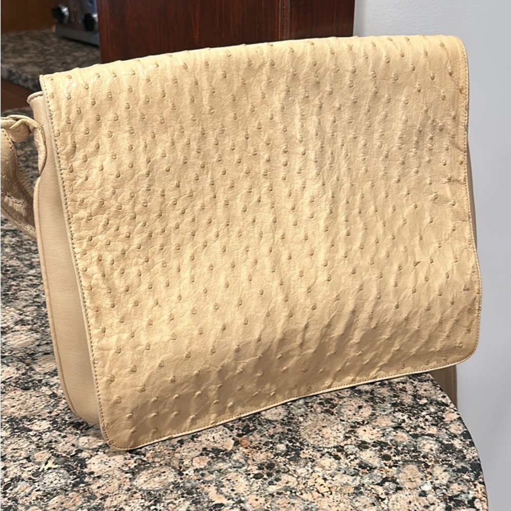 Gorgeous Ostrich Bag